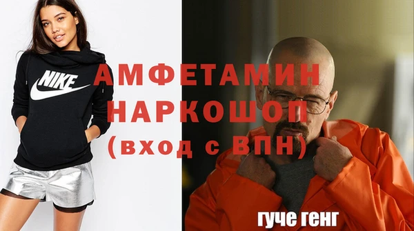 СК Алексин