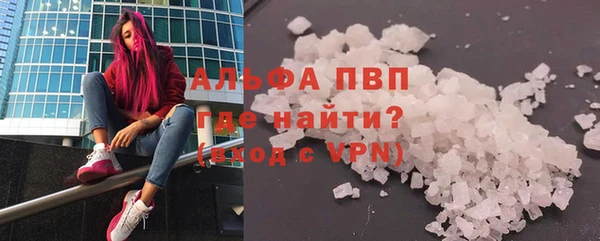 СК Алексин