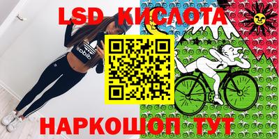 a pvp Краснознаменск