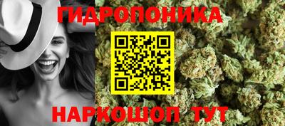 a pvp Краснознаменск