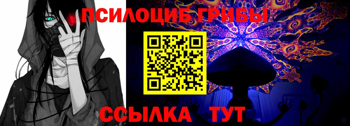 Галлюциногенные грибы ЛСД  где можно купить наркотик  Вход с VPN  Калач-на-Дону  Псилоцибиновые грибы Cubensis 