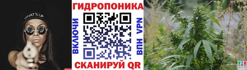 Бошки Шишки White Widow  Калач-на-Дону 